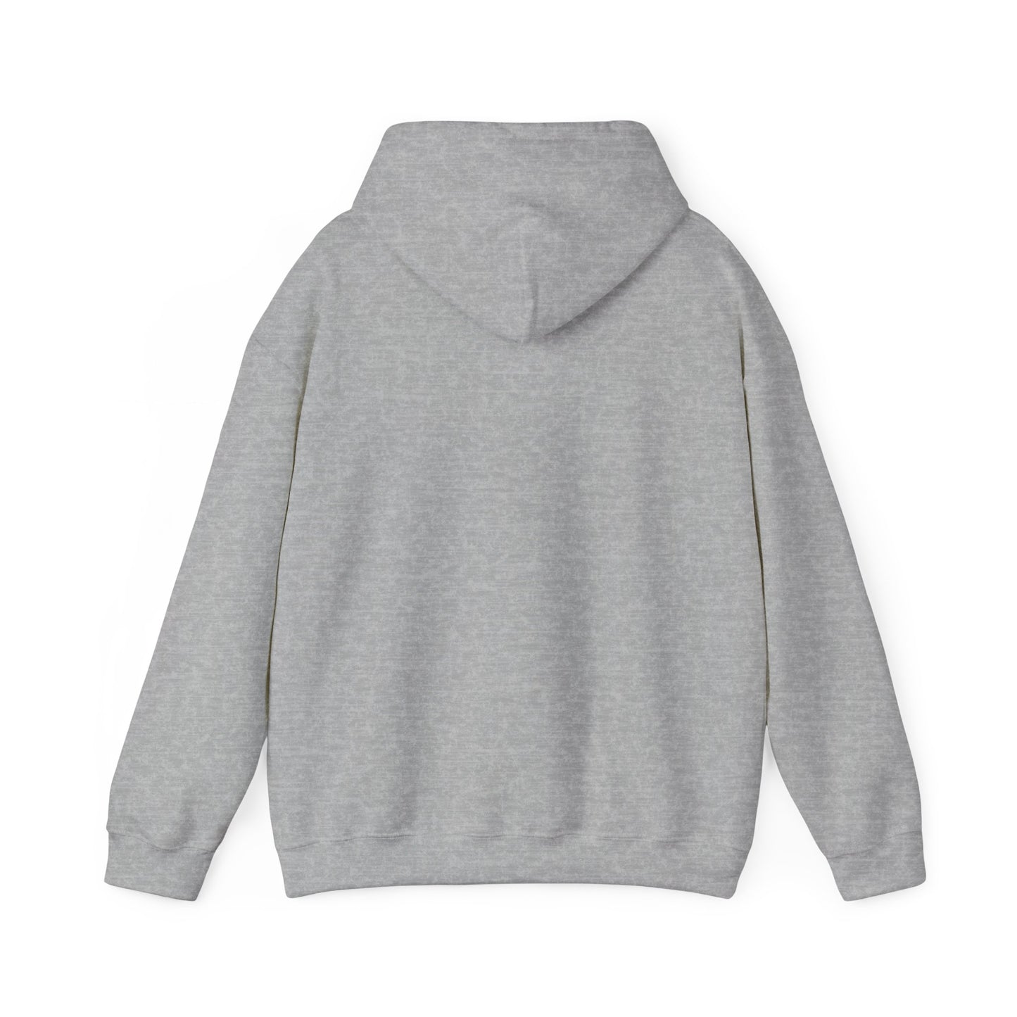 Rally Round the Nati Unisex Hoodie