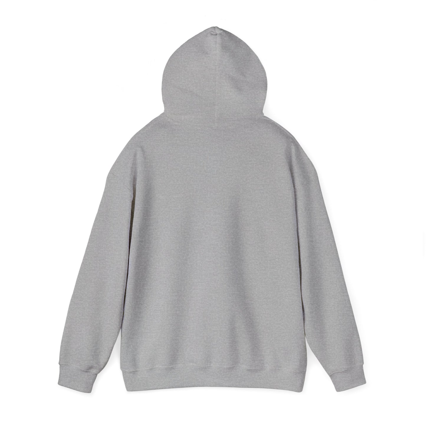 Rally Round the Nati Unisex Hoodie